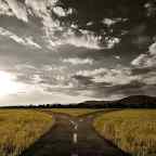 R Tutorial : Basic 2 variable Linear Regression